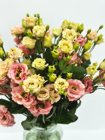 Эустома розовая